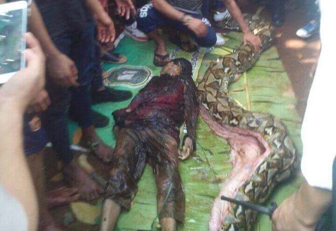 
					Warga 
