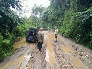 Jembatan Putus di Asinua , LA dan PJ Bupati Konawe Batal Kunker ke Latoma