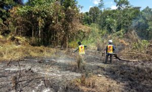 Padang Savana di Konawe Rawan Kebakaran, Potensinya Api Bisa Sampai ke Konsel