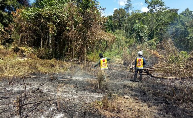 
					Padang Savana di Konawe Rawan Kebakaran, Potensinya Api Bisa Sampai ke Konsel