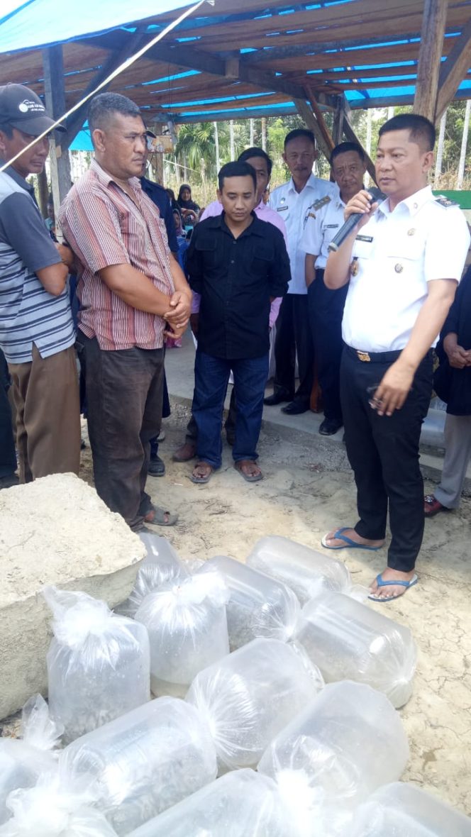 
					Nelayan Air Tawar di Konawe Terima Bantuan Benih Ikan