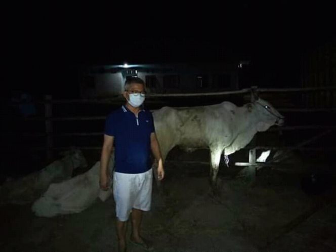 
					Wakil Bupati Konawe Gusli Topan Sabara saat meninjau bantuan sapi yang bakal didistribusi ke masyarakat . Foto/ doc SH