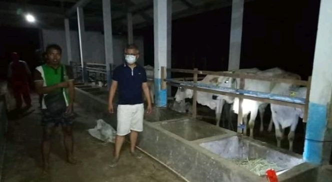 
					Konawe Surplus  1.400 Ekor Sapi Kurban, Sudah Diantaranya Sapi Limosin dan PO