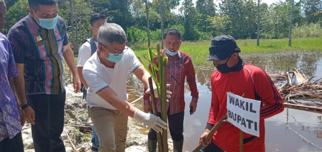 
					Tradisikan Konsumsi Makanan Berbahan Dasar Sagu : One Day, No Rice