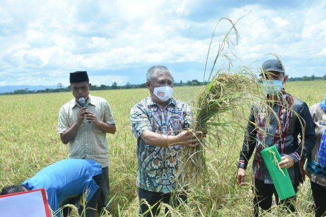 
					Kery Apresiasi Petani Panen Raya di Masa Pandemi