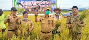 Wabup Konawe Pimpin Panen Padi Pupuk Biosel-SR2020 di Waworoda Jaya
