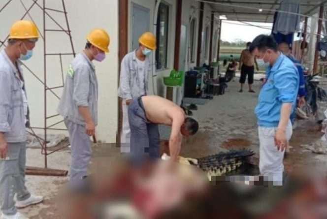 
					PT OSS Sampaikan Permohonan Maaf, Setelah Foto TKA Kuliti Buaya Viral