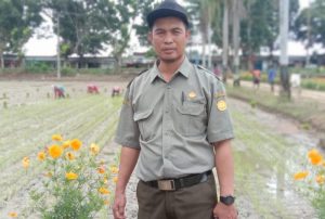 Tekan Populasi Hama, Petani Konawe Diminta Tanam Bunga Refugia di Areal Persawahan