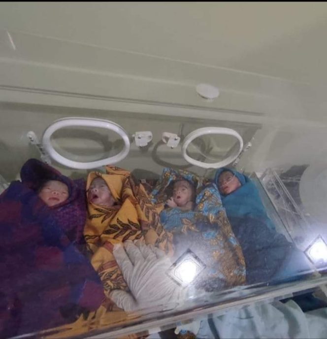 
					Pemkab Koltim Gerak Cepat Bantu Warganya Yang Melahirkan Kembar Empat