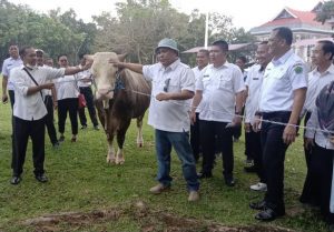 Bupati Kery Optimis Konawe Jadi Daerah Sentra Daging di Sultra