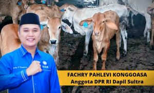 Enam Kelompok Ternak di Konawe Terima Bantuan 120 Ekor Sapi