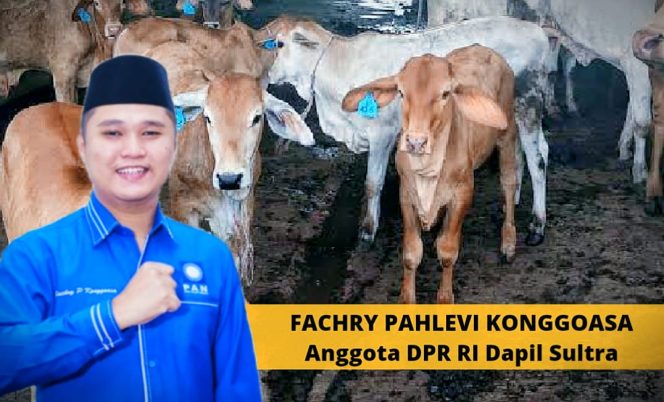 
					Enam Kelompok Ternak di Konawe Terima Bantuan 120 Ekor Sapi