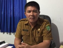 Jelang Idul Adha, Permintaan Sapi dari Luar Konawe Meningkat
