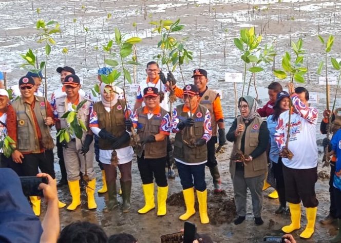 
					Pj. Bupati Konawe Apresiasi Penanaman Ribuan Mangrove di Daerah Pesisir