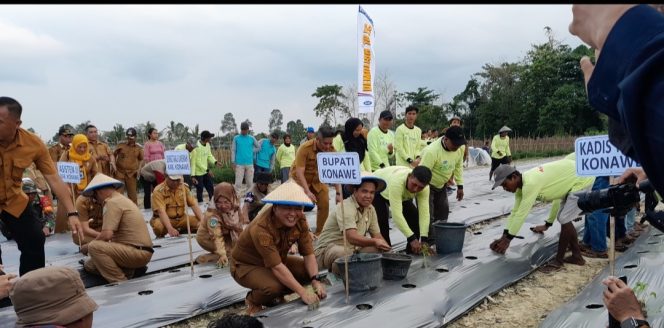 
					Bersama Petani dan OPD, Pj Bupati  Konawe Tanam Cabai Serentak di Nario Indah