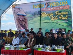 Pj Bupati Konawe Hadiri Panen Padi di Desa Tawamelewe