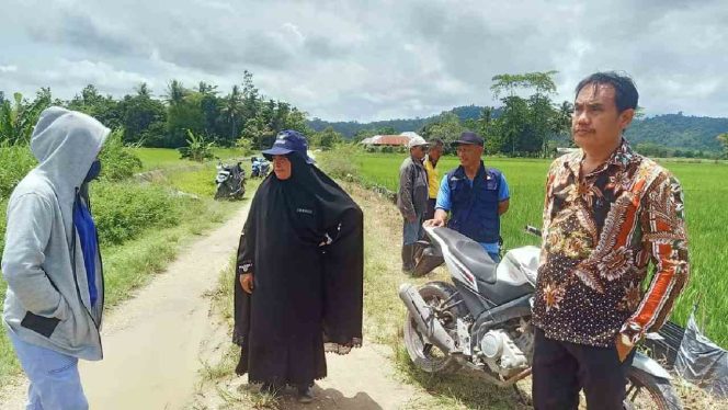 
					Dinas TPHP Konawe Sebut Realisasi LTT Padi Saat ini Capai 4.559,1 Hektare