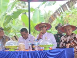 Stafsus Kementan Monitoring Program Perluasan Areal Tanam di Koltim