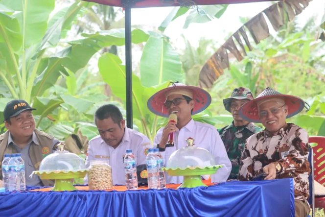 
					Stafsus Kementan Monitoring Program Perluasan Areal Tanam di Koltim