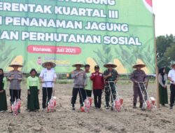 Polda Sultra Bekerja Sama dengan Pemda Maksimalkan Penanaman Jagung di Konawe
