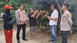Desa Lalombonda Bakal Jadi Kampung Tematik Buah Kelengkeng