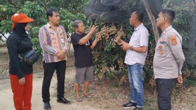 Desa Lalombonda Bakal Jadi Kampung Tematik Buah Kelengkeng