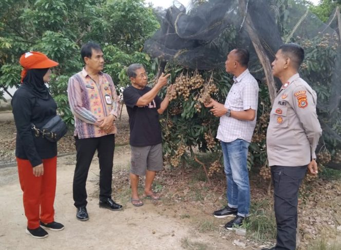 
					Desa Lalombonda Bakal Jadi Kampung Tematik Buah Kelengkeng