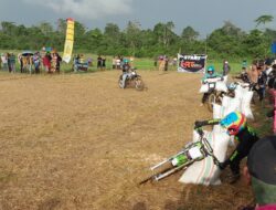 Turnamen Balap Ojek Gabah di Karandu, Pesertanya Datang dari Lintas Daerah