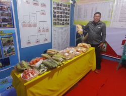 Apresiasi dari Plt Kades Nario Indah: Bukan Sekadar Seremonial, Tapi Jembatan Promosi