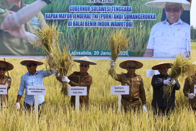 
					Sultra Mandiri Pangan: Gubernur Sultra Panen Perdana di Konawe, Janjikan Umrah bagi Penyuluh Berprestasi